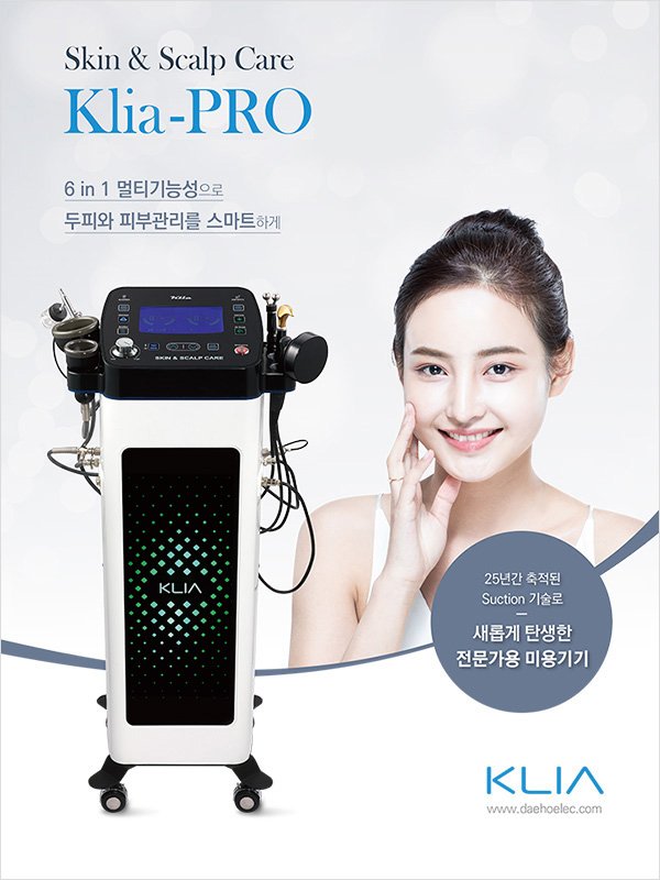 대호전자산업